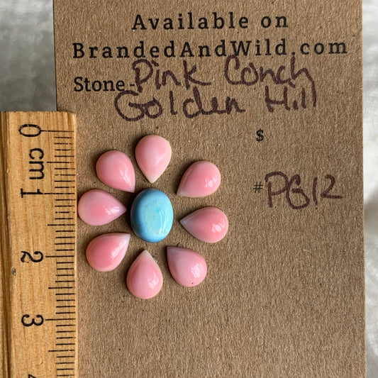 Pink Conch/Golden Hill Cabochon - PG12