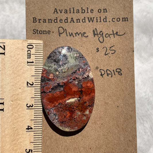 Plume Agate Cabochon - PA18