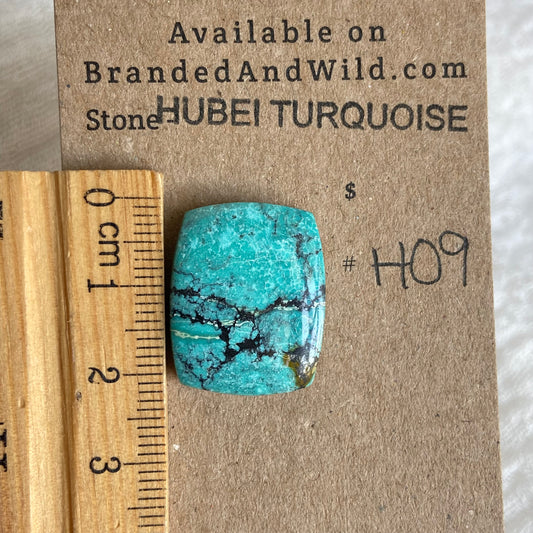 Hubei Turquoise Cabochon - H09