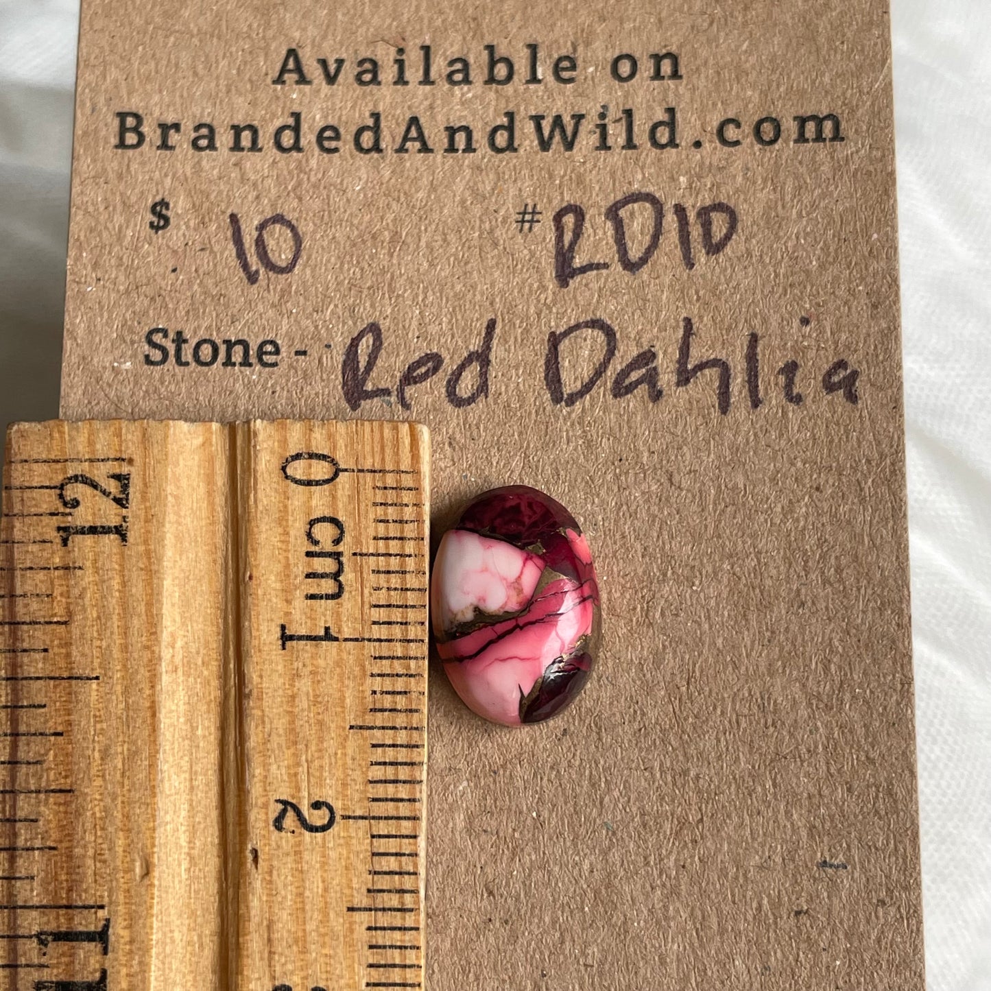Red Dahlia Cabochon - RD10 43814885-51BF-458B-B8E2-143604C11289 Brandedandwild.com