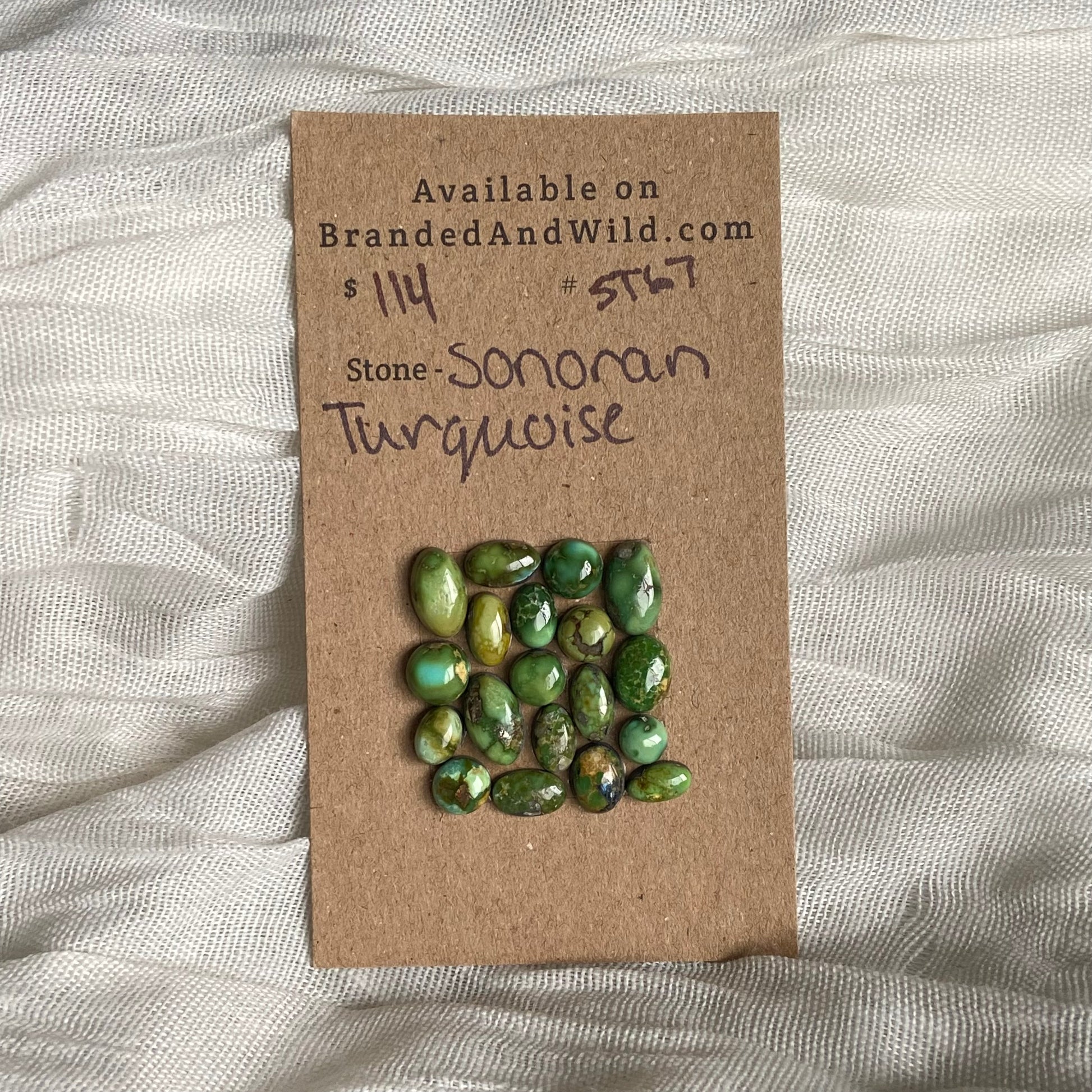 Sonoran Turquoise Cabochon - ST67 439E6070-3E88-408F-A93F-31C5991A3F60 Brandedandwild.com