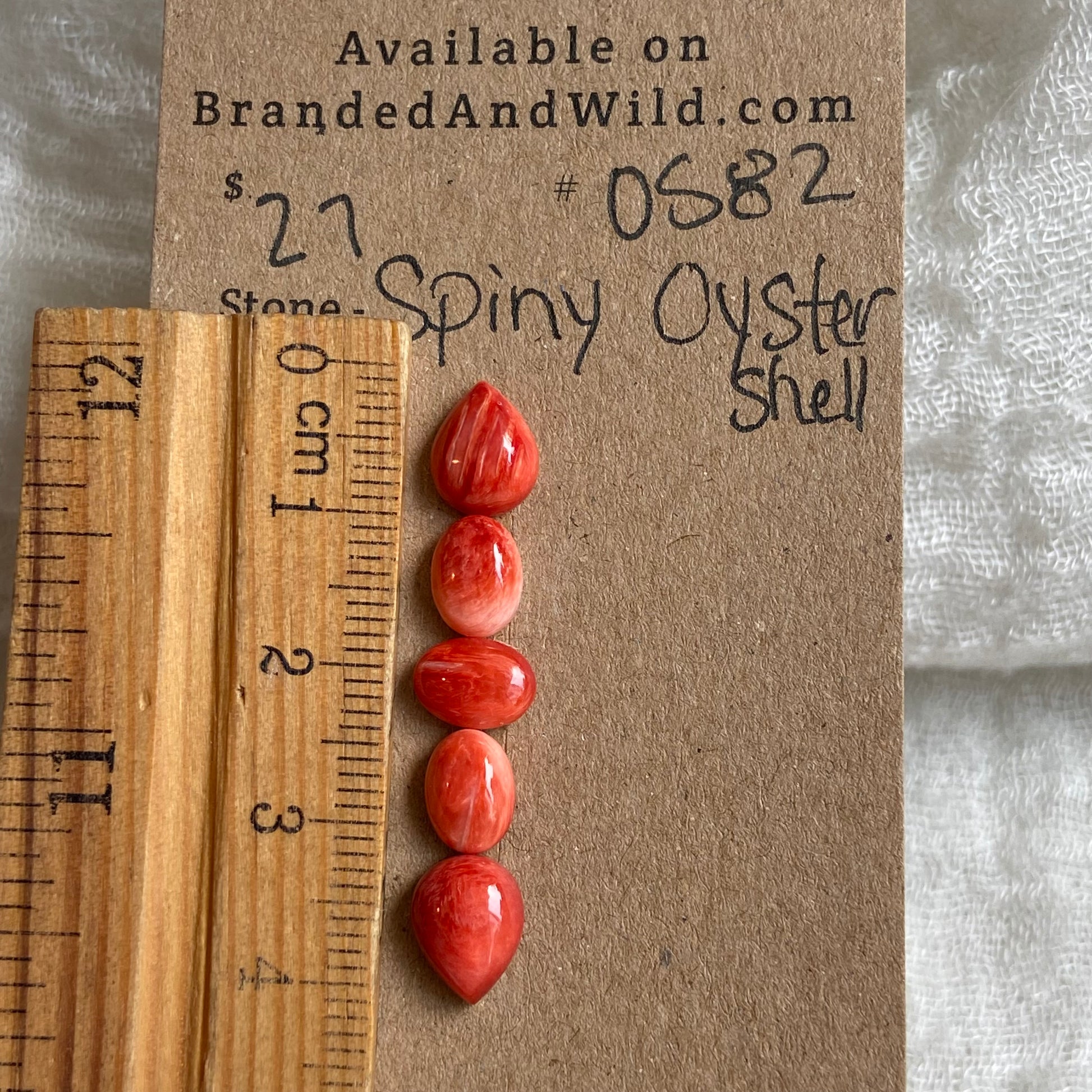 Oyster Shell Cabochon - OS82 43DB06C0-F643-4BCB-B2C8-A09488E94B5C Brandedandwild.com