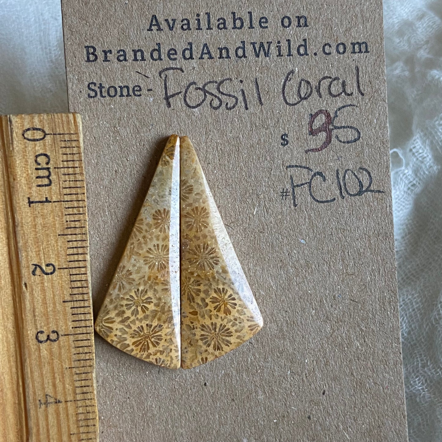 Fossil Coral Cabochon - FC102