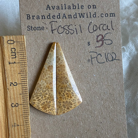Fossil Coral Cabochon - FC102 43EAFC38-0E21-46D8-9B5C-CAC62BEC6131 Brandedandwild.com