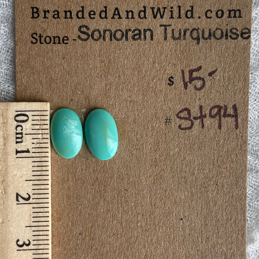 Sonoran Turquoise Cabochon - ST94