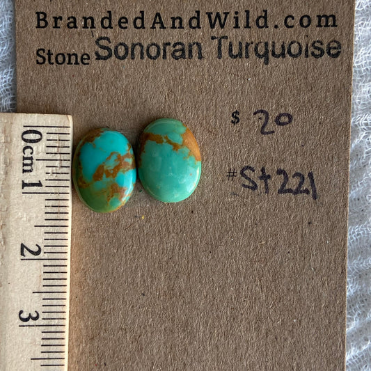 Sonoran Turquoise Cabochon - ST221