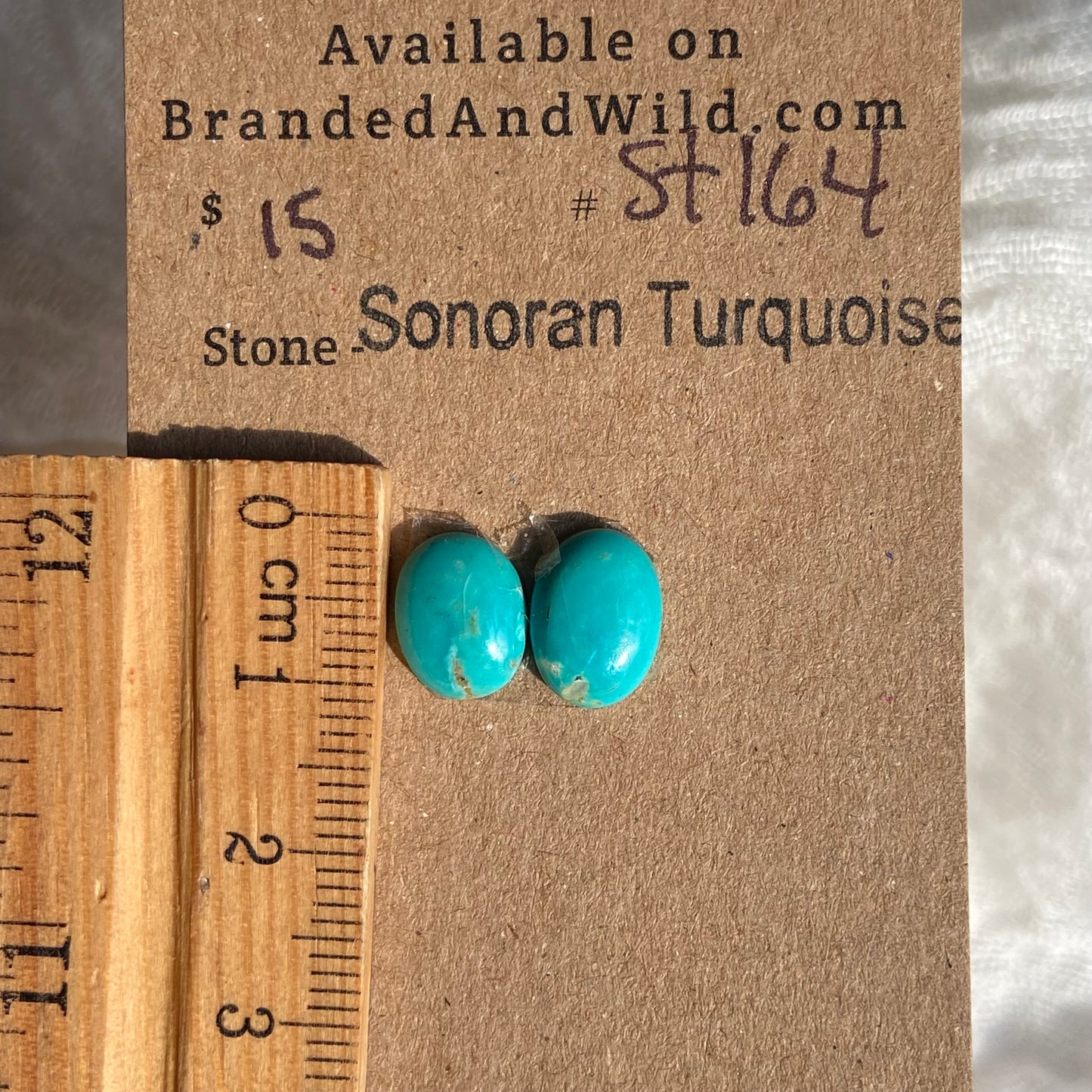 Sonoran Turquoise Cabochon - ST164