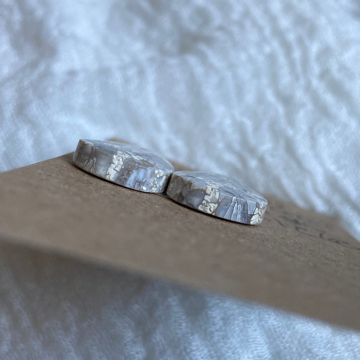 Fossil Coral Cabochon - FC63