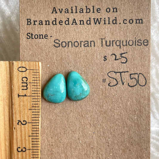 Sonoran Turquoise Cabochon - ST50 443F03BE-E83E-486F-97DF-3D50BDC820F0 Brandedandwild.com