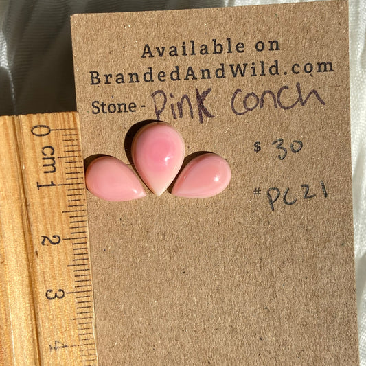 Pink Conch Cabochon - PC21 4451E0AF-1E9A-4DCA-984B-AEE4C78D5145 Brandedandwild.com
