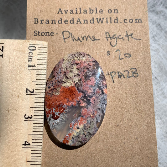 Plume Agate Cabochon - PA28