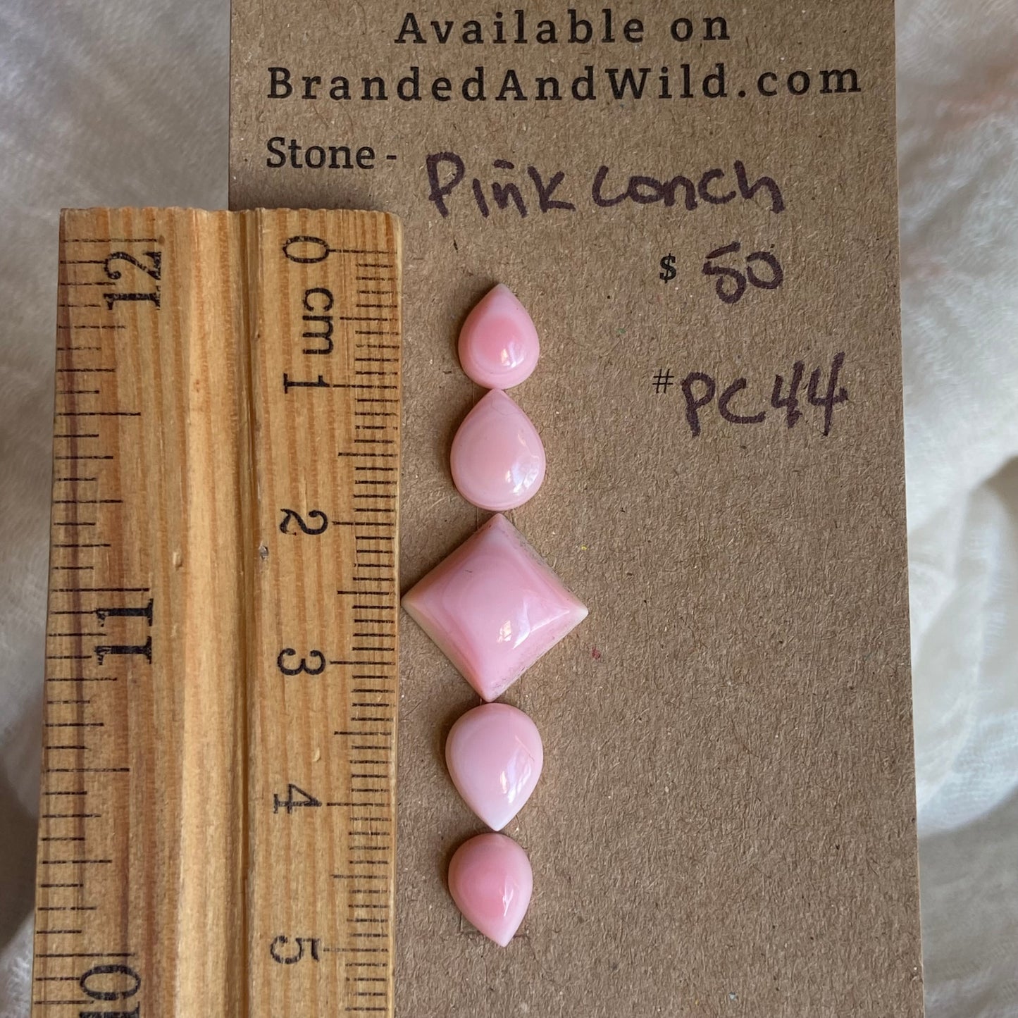 Pink Conch Cabochon - PC44