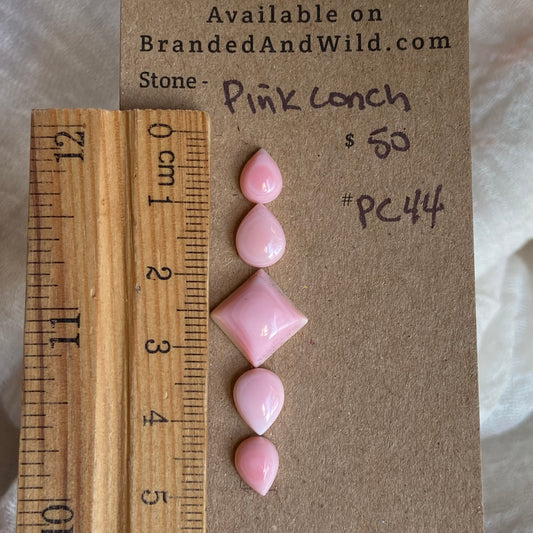 Pink Conch Cabochon - PC44