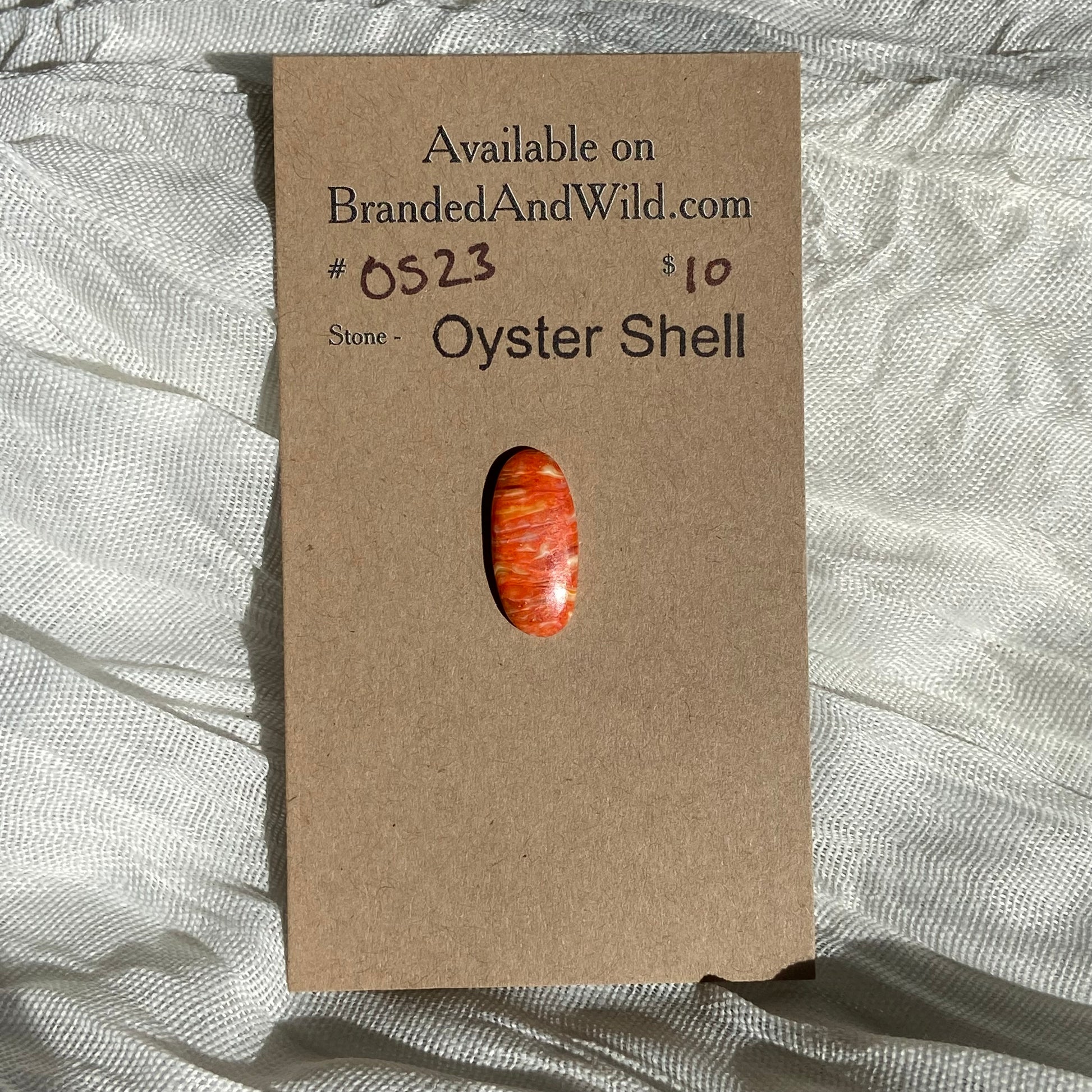 Oystershell Cabochon - OS23 4480EE3E-86EB-49F2-88CE-4B5C34E40AD8 Brandedandwild.com