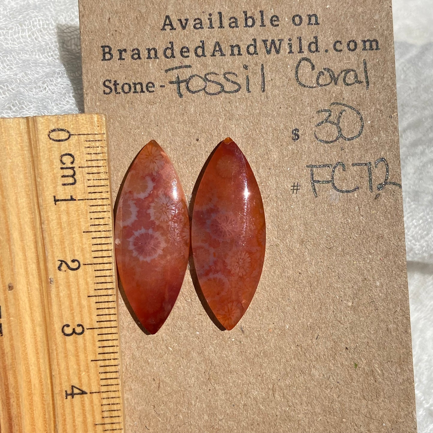 Fossil Coral Cabochon - FC72