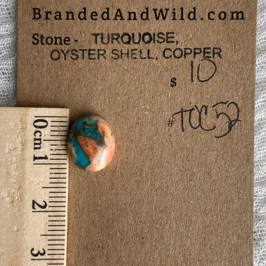 Turquoise, Oyster Shell, Copper - TOC52