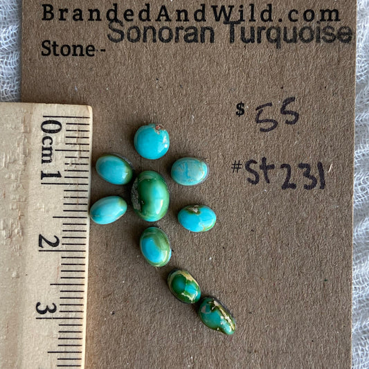 Sonoran Turquoise Cabochon - ST231