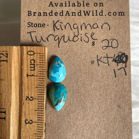 Kingman Turquoise Cabochon - KT17 44D78827-4ADF-4D14-8BF9-14477135E7D2 Brandedandwild.com