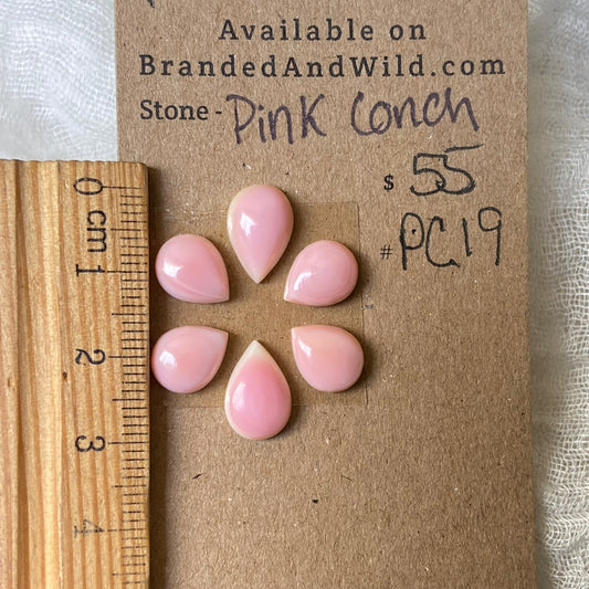 Pink Conch Cabochon - PC19 44F7DF4E-F3BB-4DE6-B11B-74E09A04501A Brandedandwild.com