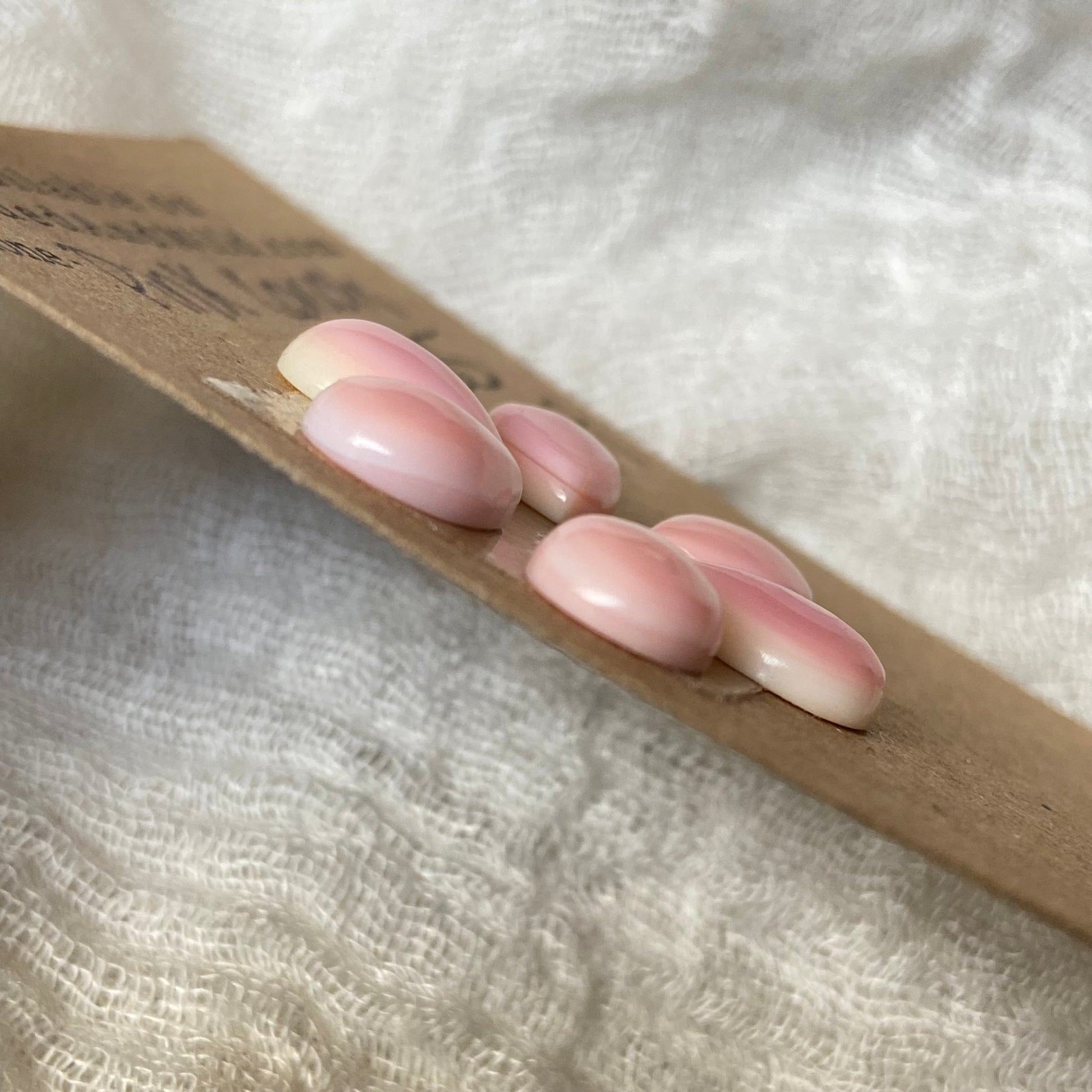 Pink Conch Cabochon - PC19 452CA5C8-47AA-49AC-AADF-D80C5022A2C9 Brandedandwild.com