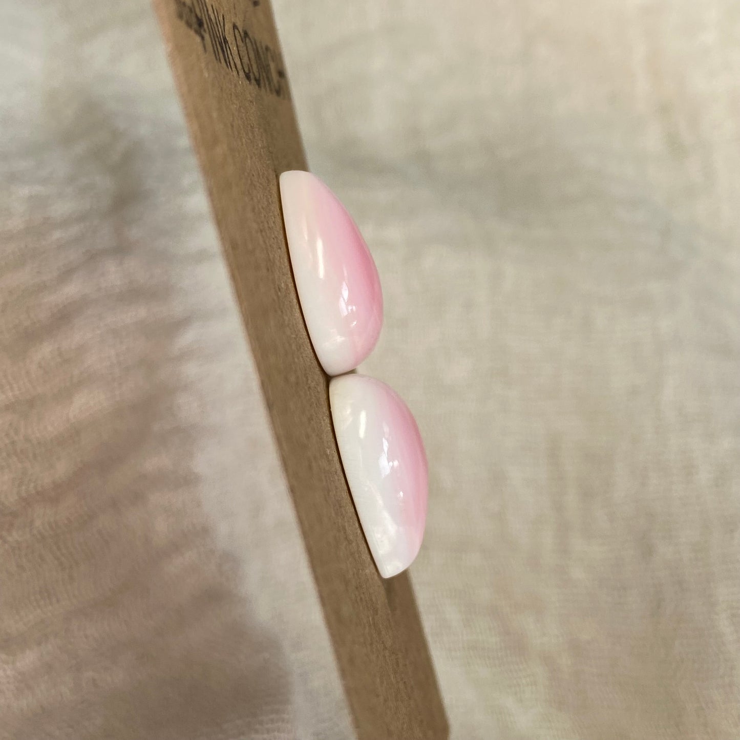 Pink Conch Cabochon - PC12 45831FEA-F211-4525-8A3A-CA22F4631676 Brandedandwild.com