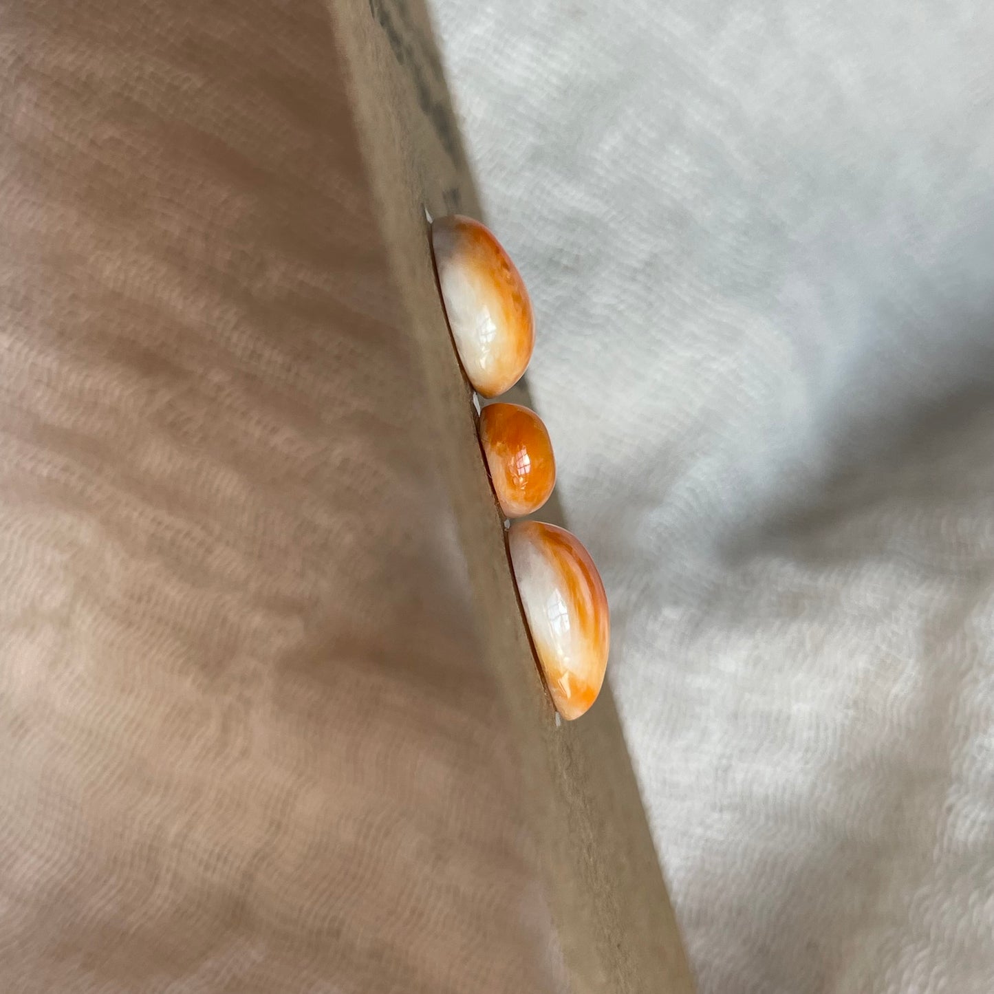 Oyster Shell Cabochon - OS08