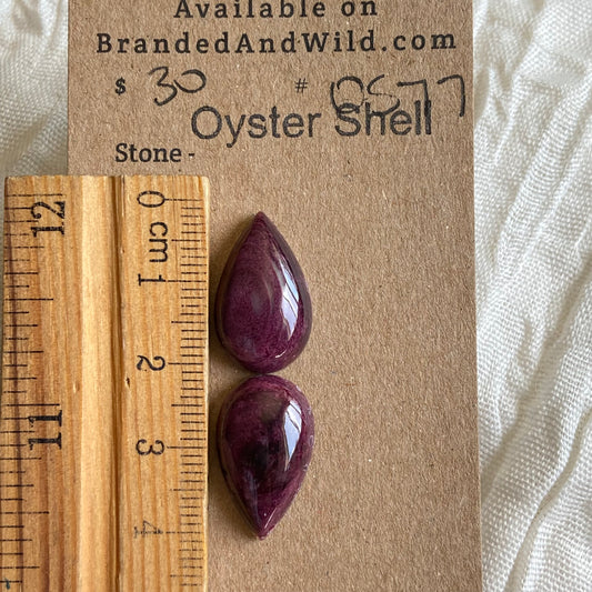 Oyster Shell Cabochon - OS77 45A9C148-4C35-4044-ACAD-55F8995DC4DF Brandedandwild.com