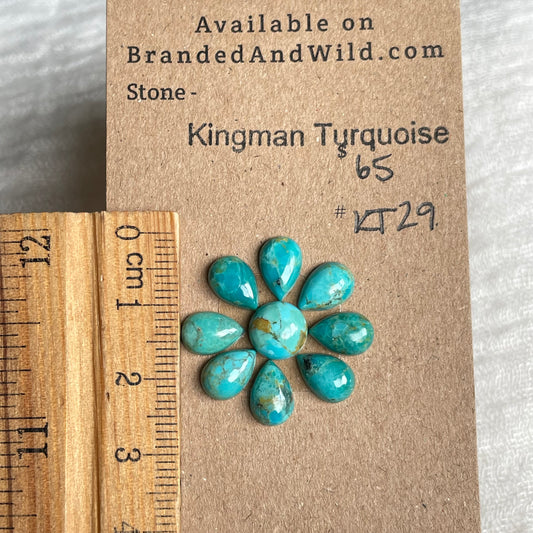 Kingman Turquoise Cabochon - KT29 45B78CF5-62CA-4D8C-A9B3-CBFFD2A7BA78 Brandedandwild.com