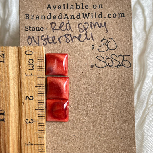 Spiny Oyster Shell Cabochon - SOS25 45D1153C-5624-43E8-9D01-79E9A19E110C Brandedandwild.com