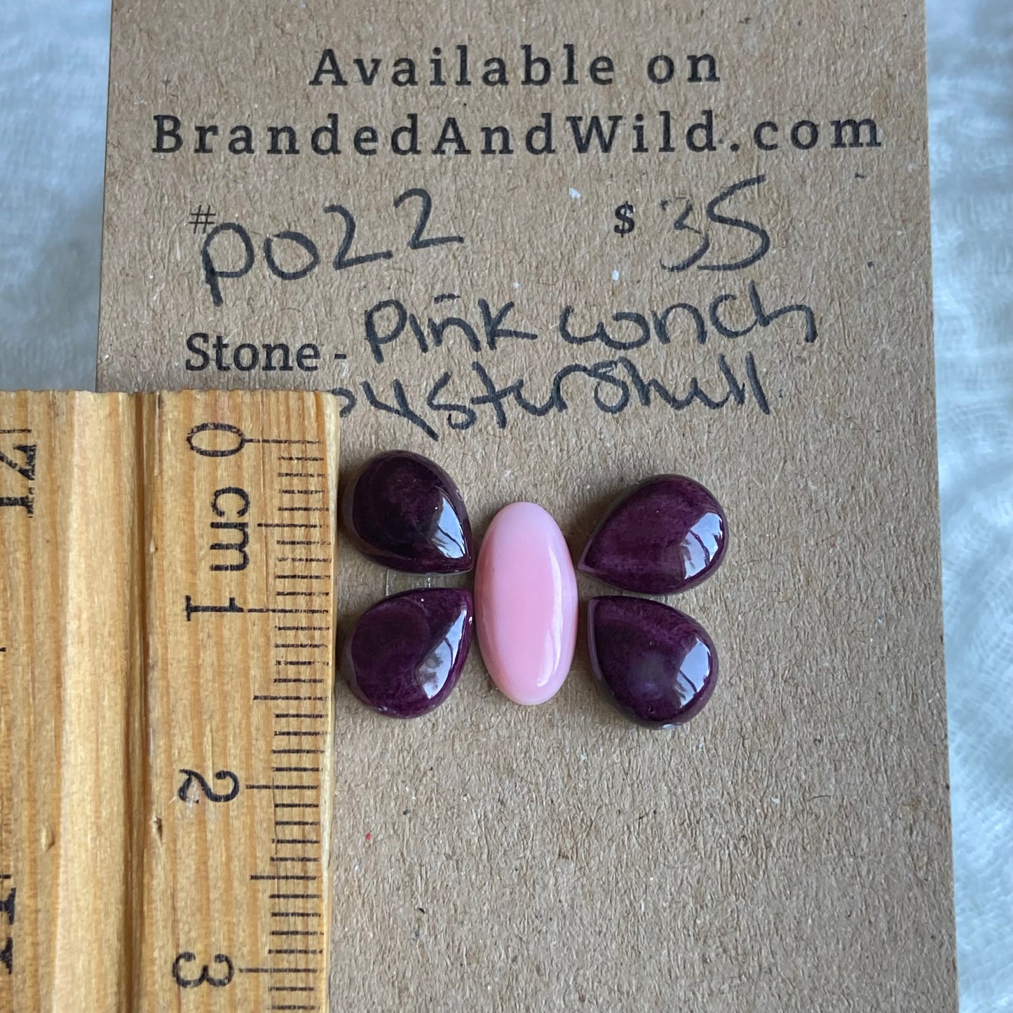 Pink Conch / Oyster Shell Cabochon - P022