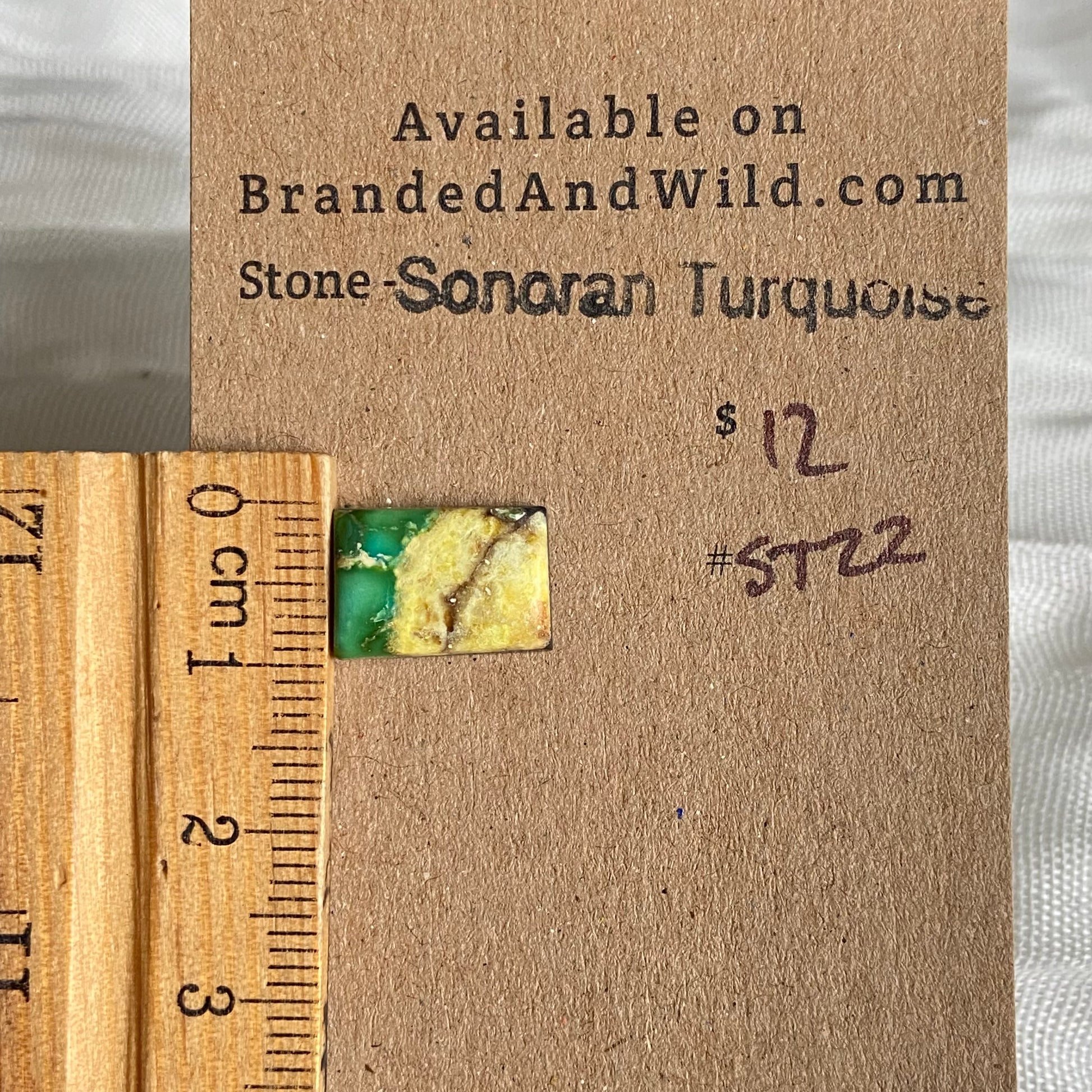 Sonoran Turquoise Cabochon - ST22 460557DB-7C9A-40CF-A952-D3B3435AB440 Brandedandwild.com