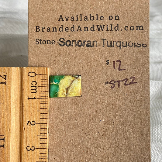 Sonoran Turquoise Cabochon - ST22 460557DB-7C9A-40CF-A952-D3B3435AB440 Brandedandwild.com