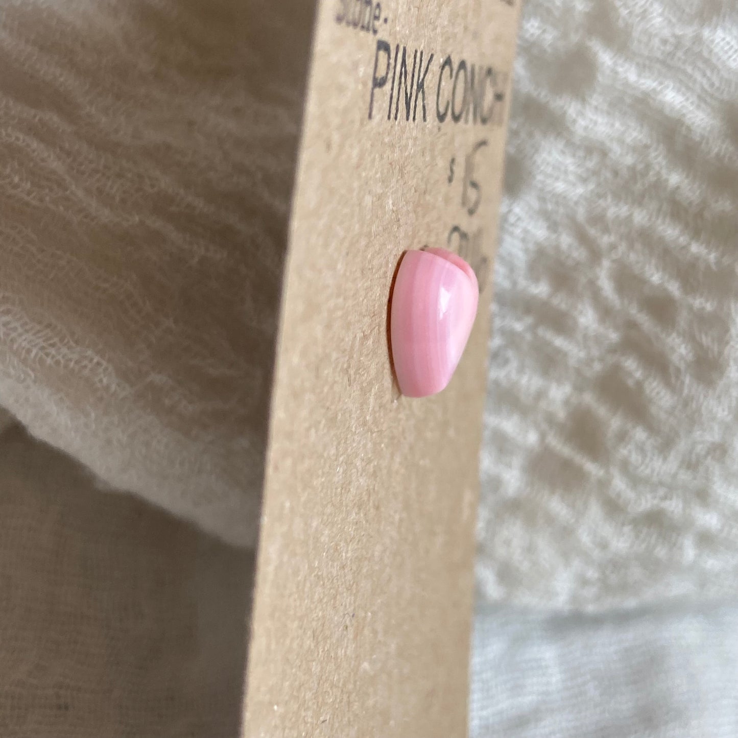 Pink Conch Cabochon - PC16