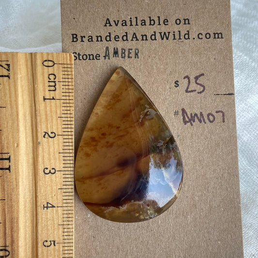 Amber Cabochon AM07
