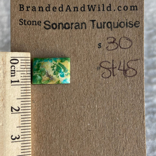 Sonoran Turquoise Cabochon - ST45