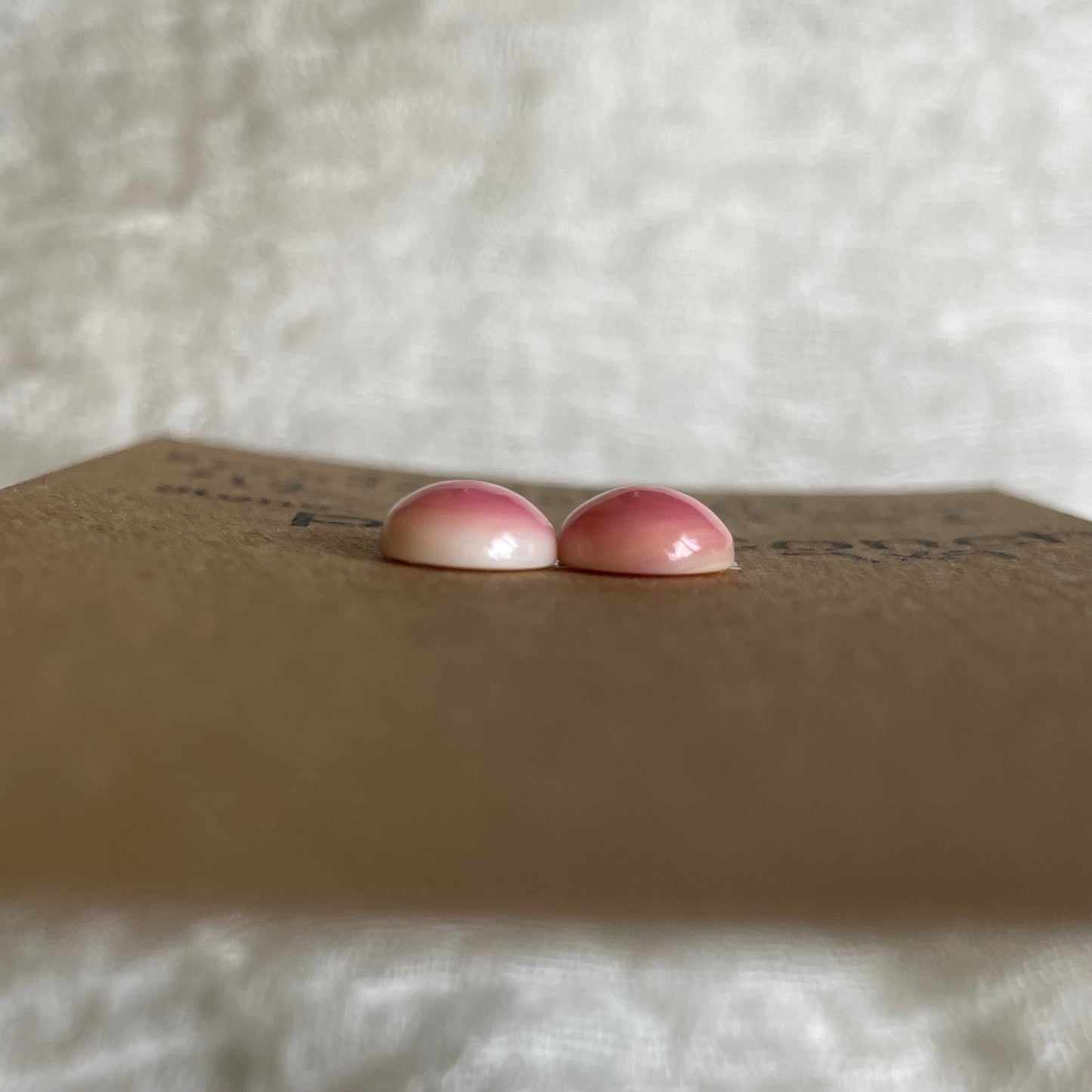 Pink Conch Cabochon - PC52