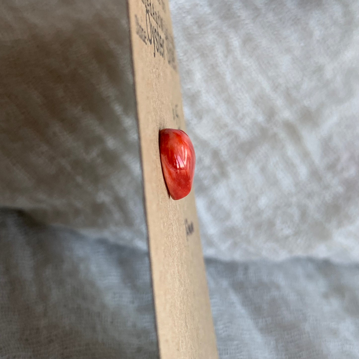 Oystershell Cabochon - OS06