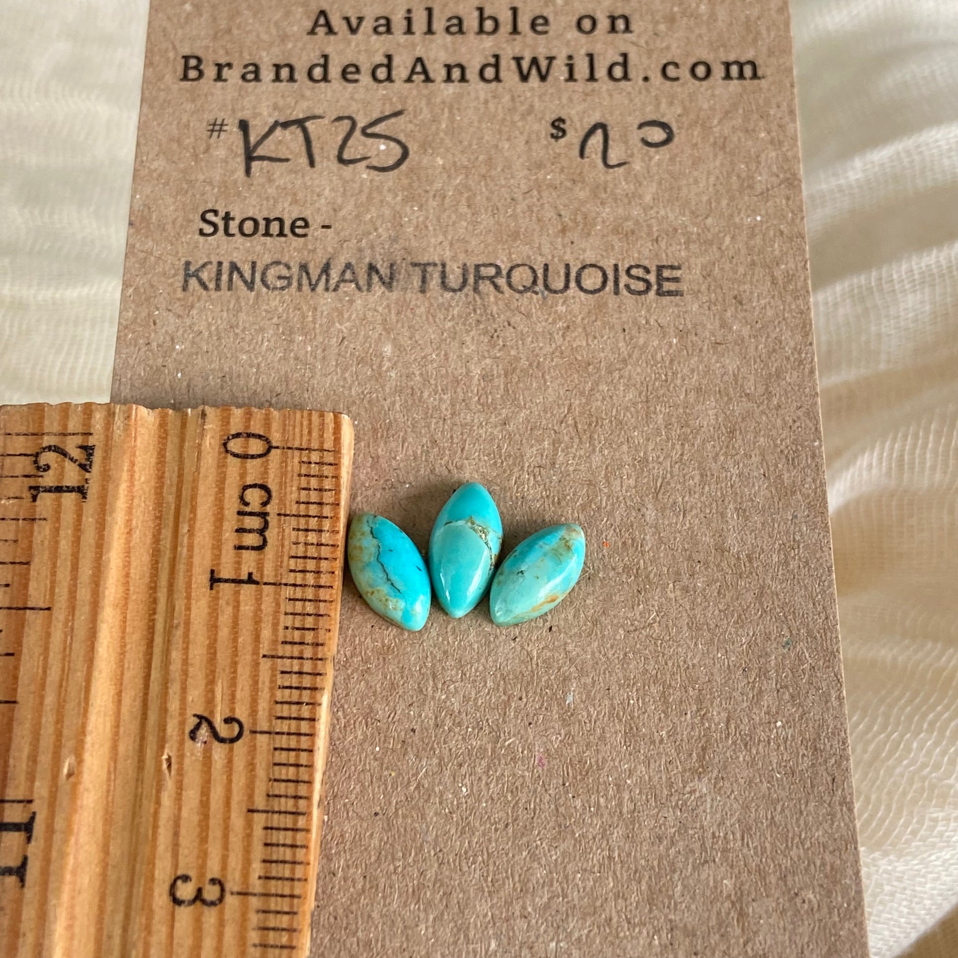 Kingman Turquoise Cabochon - KT25 4685D487-B52A-4310-BEC7-711633A2BE7F Brandedandwild.com