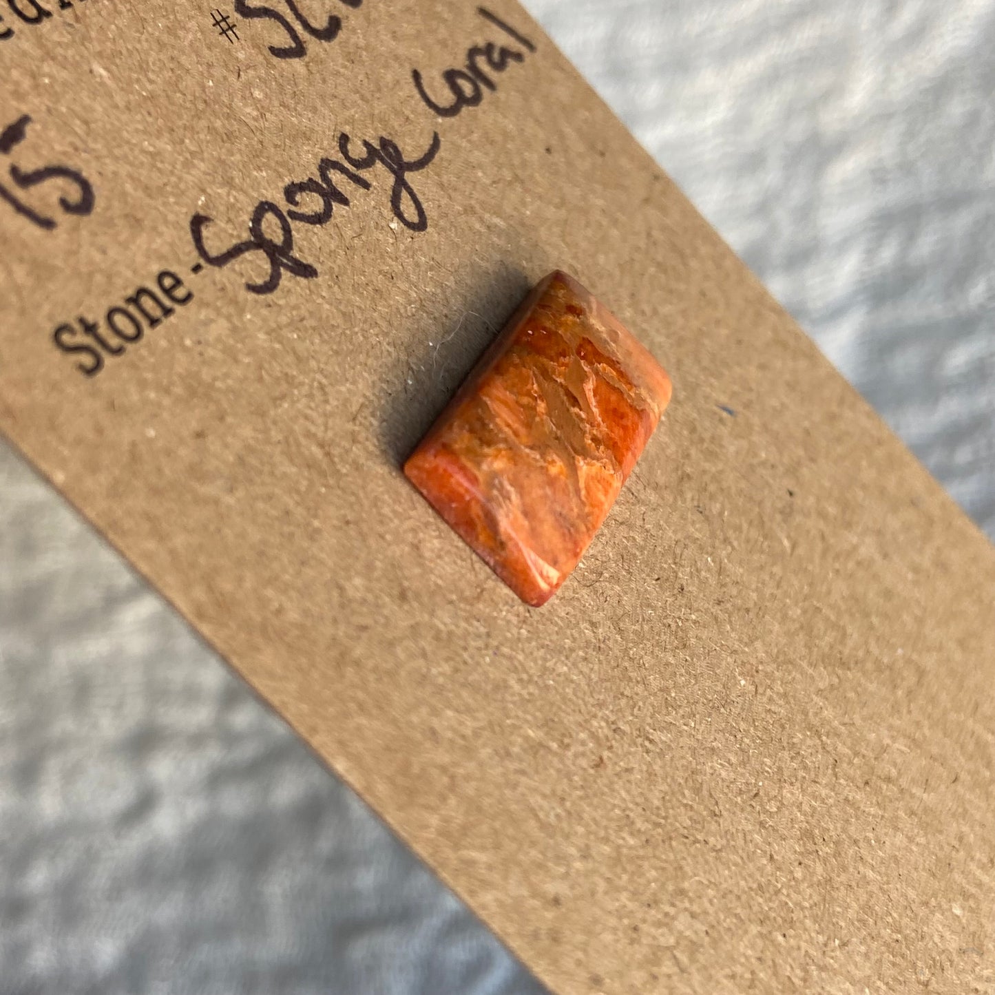Sponge Coral Cabochon - SC02