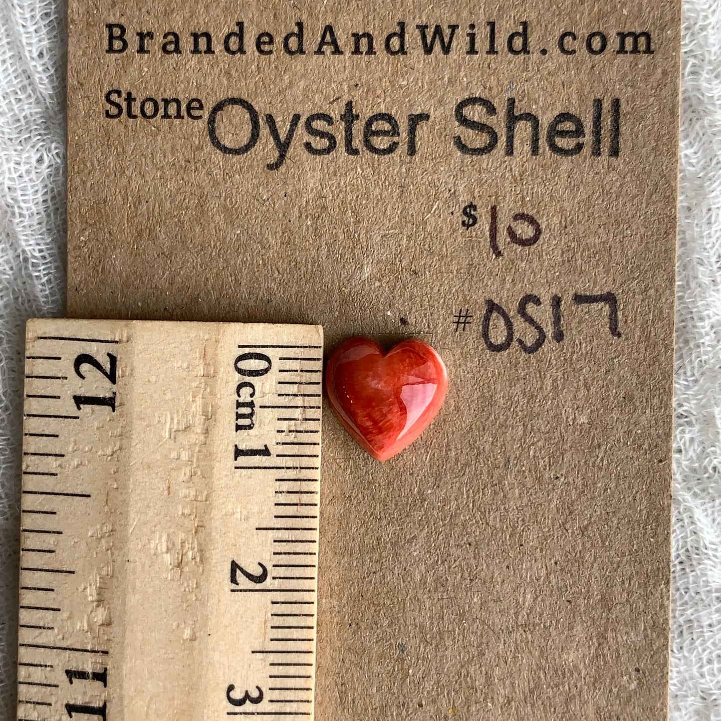 Oystershell Cabochon - OS17