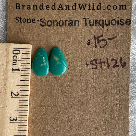 Sonoran Turquoise Cabochon - ST126