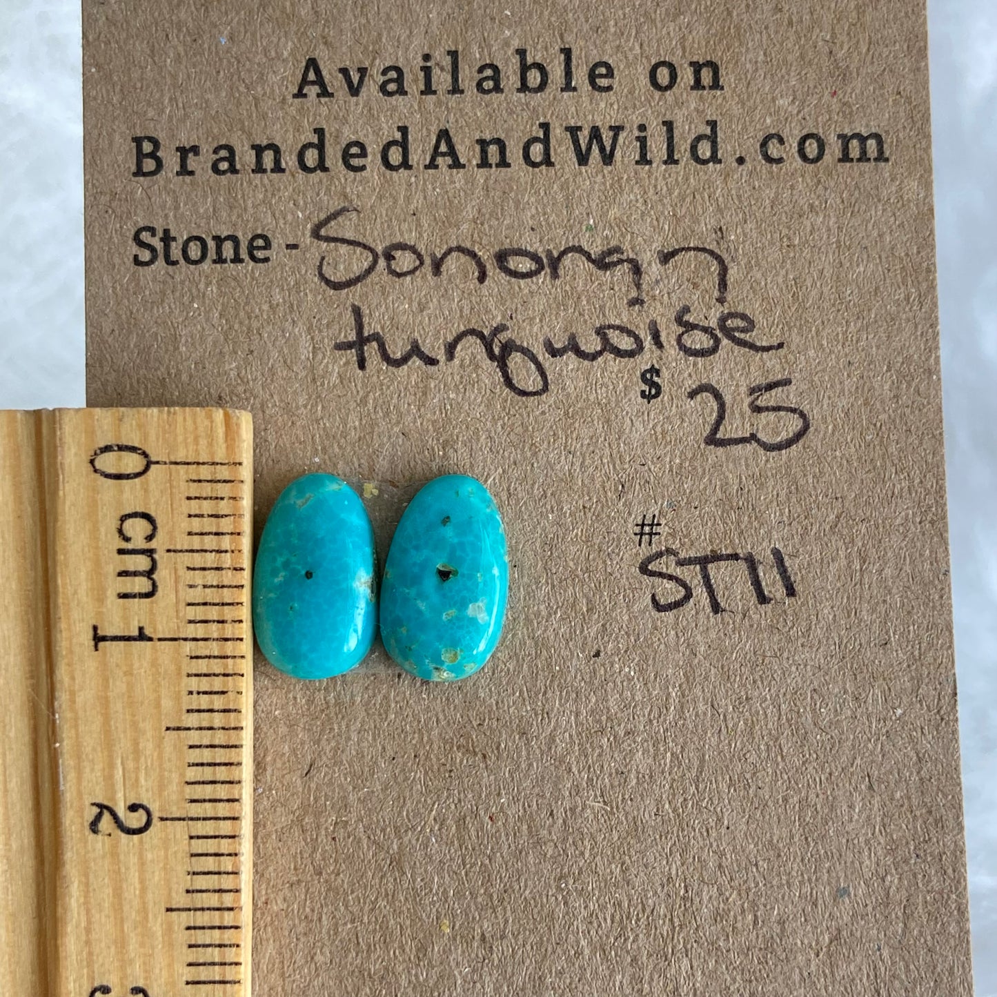 Sonoran Turquoise Cabochon - ST11