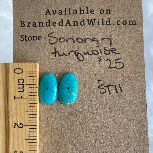Sonoran Turquoise Cabochon - ST11