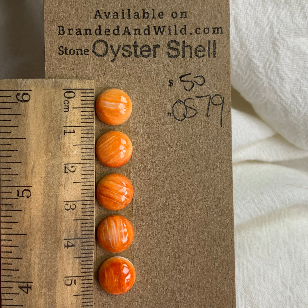 Oyster Shell Cabochon - OS79 470A9A17-02C0-4CF2-A369-9AAD1E1ED22F Brandedandwild.com
