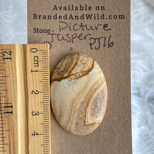Picture Jasper Cabochon - PJ16