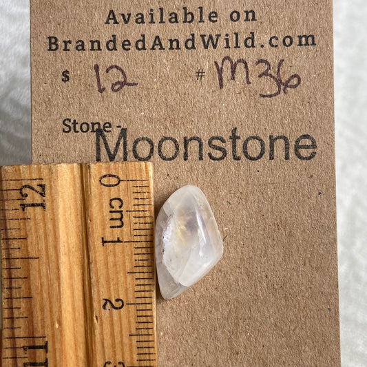 Moonstone Cabochon - M36 4716468F-85DD-41D7-AE02-B9394D54CE54 Brandedandwild.com