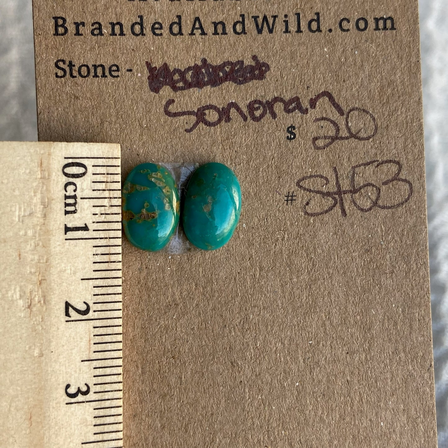 Sonoran Turquoise Cabochon - ST53