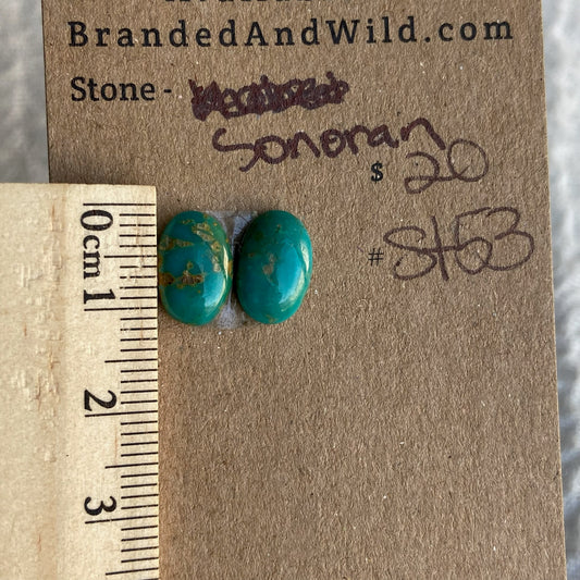 Sonoran Turquoise Cabochon - ST53
