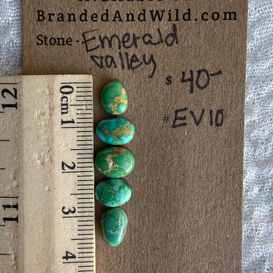 Emerald Valley Turquoise Cabochon - EV10
