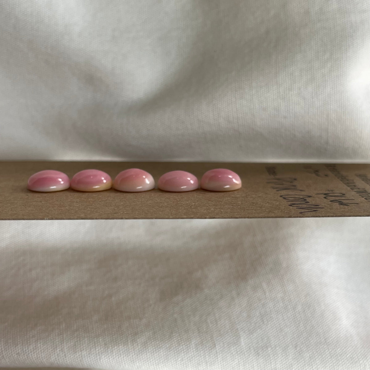 Pink Conch Cabochon - PC66 47727888-9948-4A52-8801-61652E85888D Brandedandwild.com